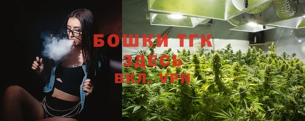 прущие грибы Алексеевка