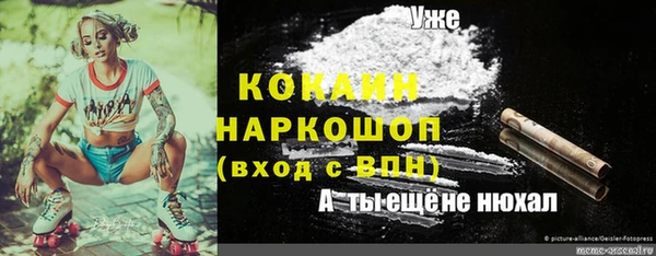 прущие грибы Алексеевка